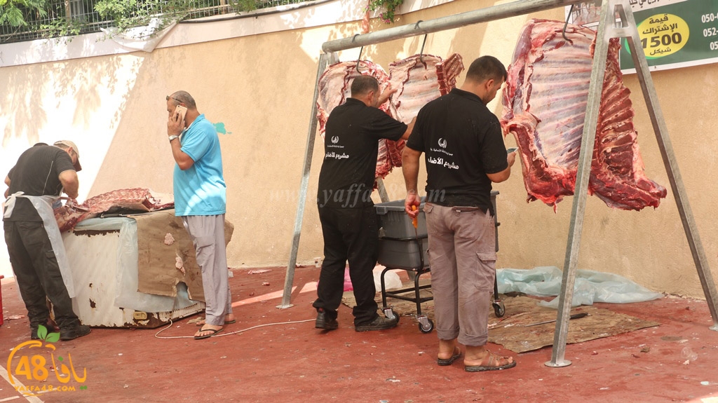 ada7y forthei (70).JPG